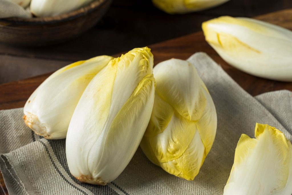 Comment conserver des endives : astuces et conseils pratiques