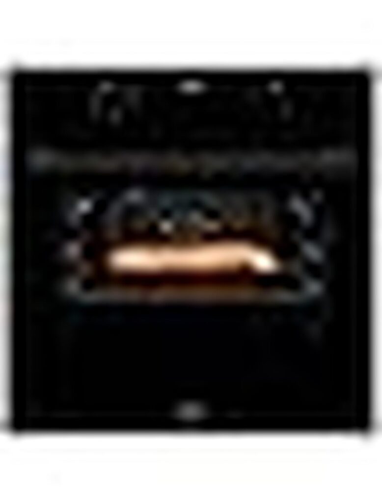 Four multifonction Electrolux OEF5H50BK : performance et Éco-efficacité