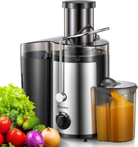 Test Reemix : extracteur de jus 2 vitesses - Performance et praticité